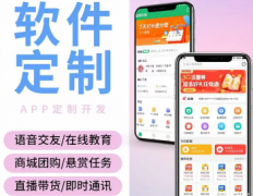 app开发，软件开发，软件定制